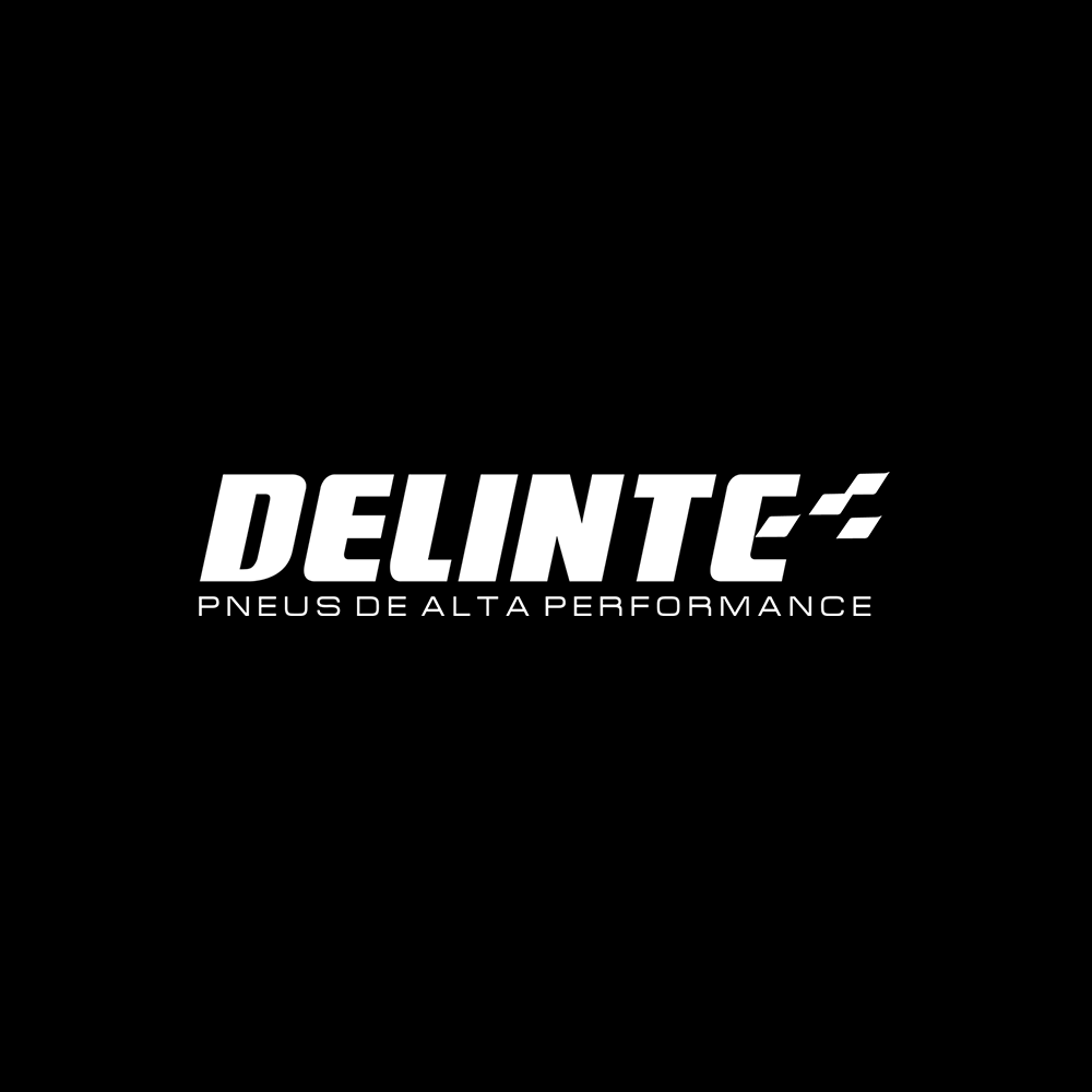 Logo Delinte